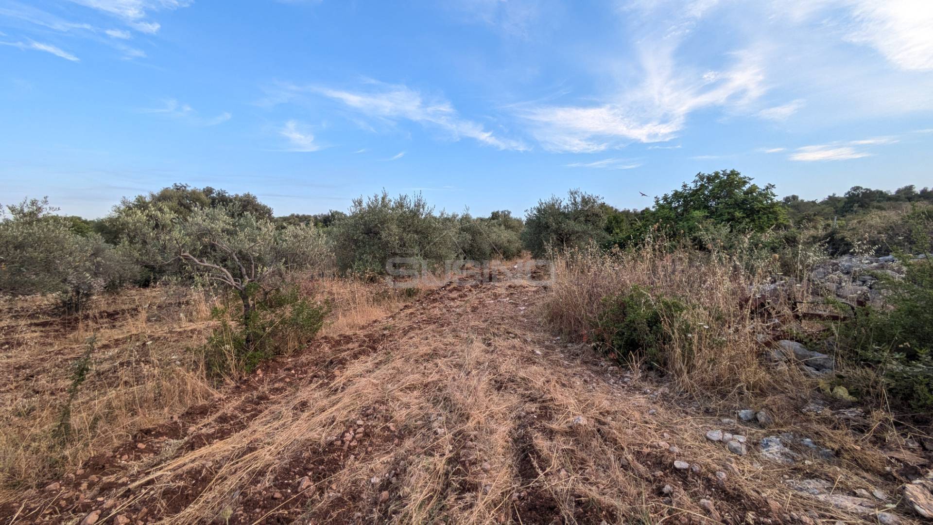 Terreno Agricolo in vendita a Floridia