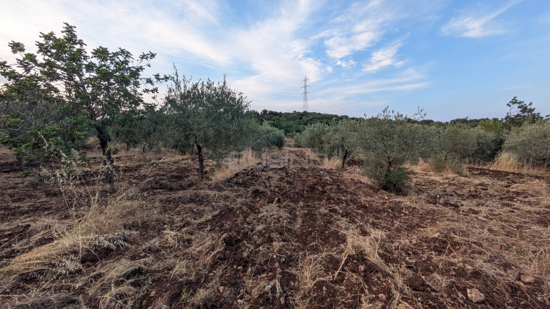 Terreno Agricolo in vendita a Floridia