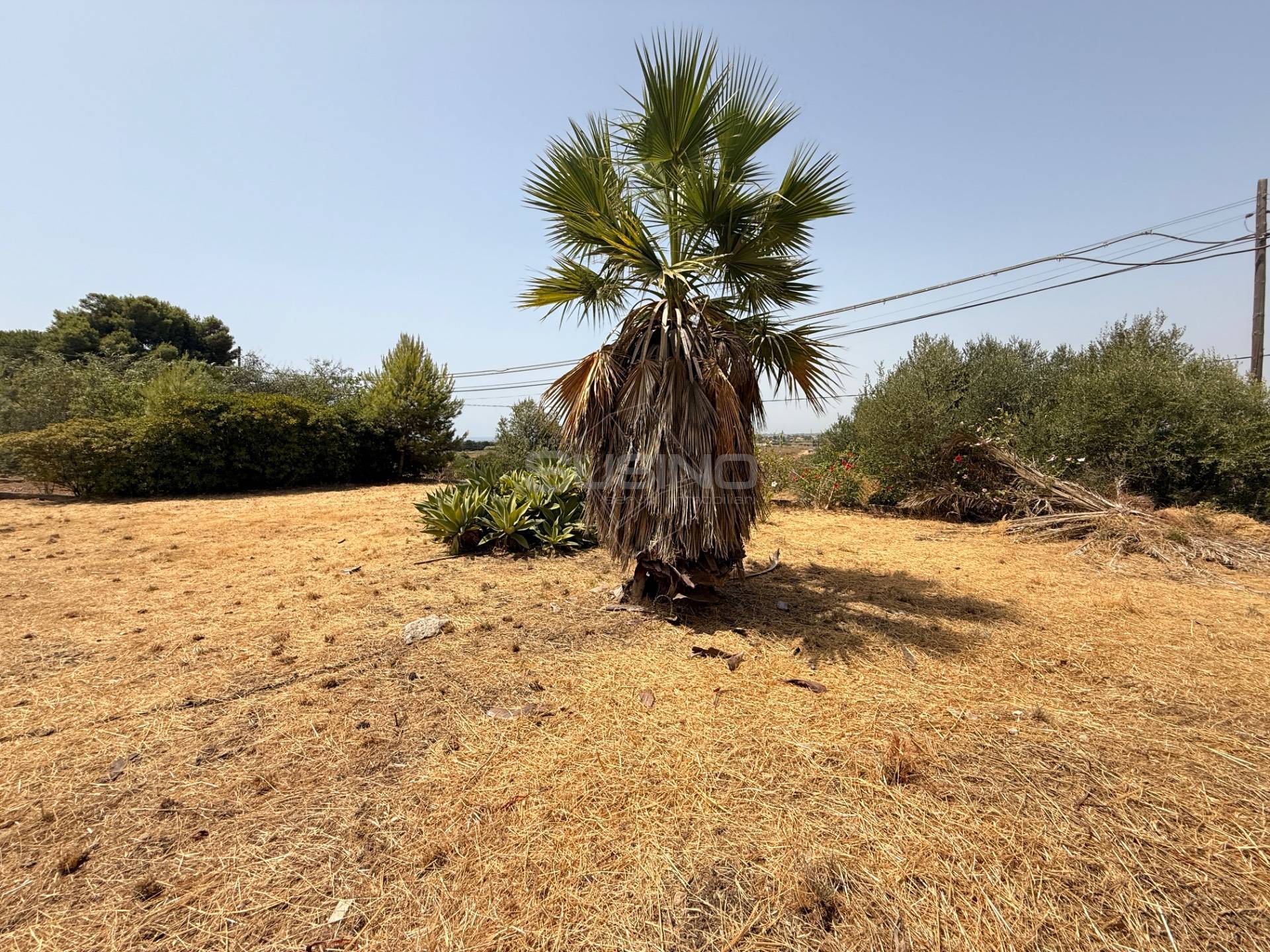 Terreno edificabile in vendita a Siracusa