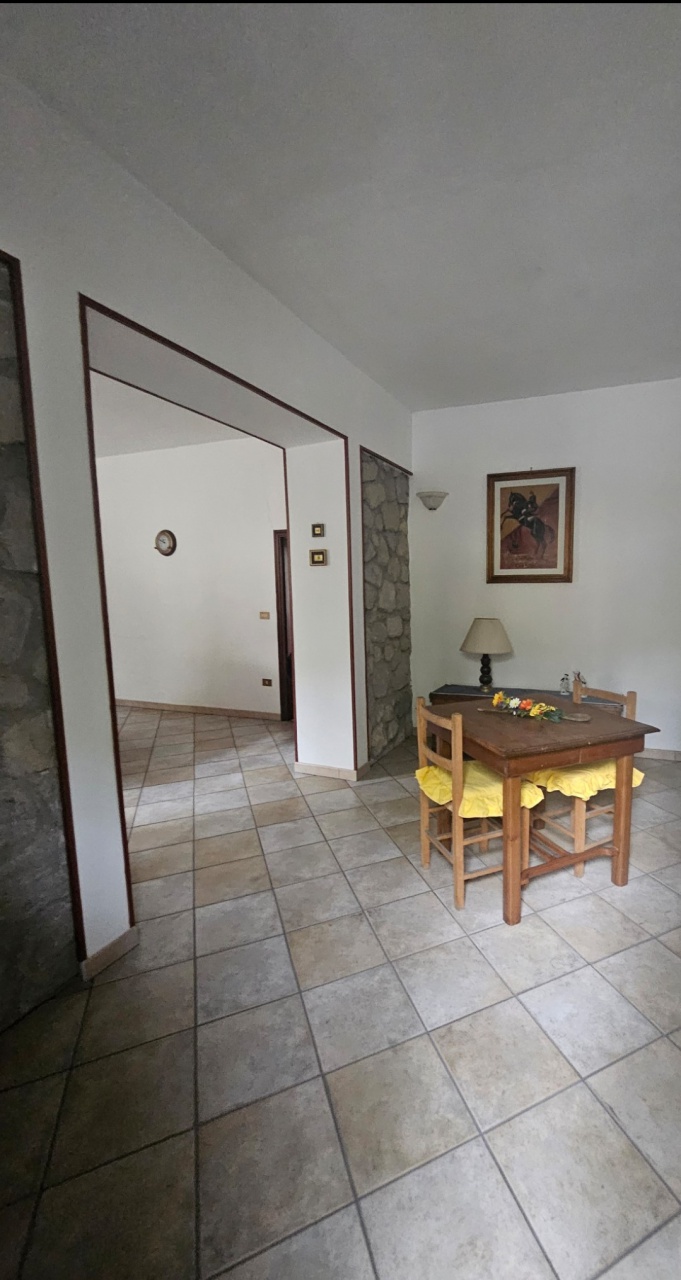 Casa indipendente con giardino in via fratelli rosselli, Santa Fiora