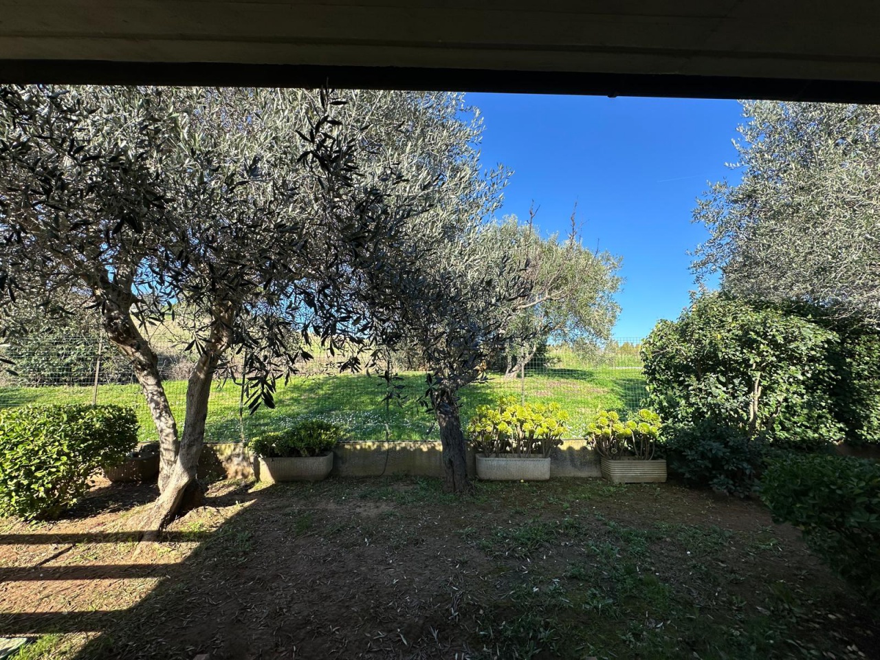 Villa con giardino in via dei pioppi, Follonica