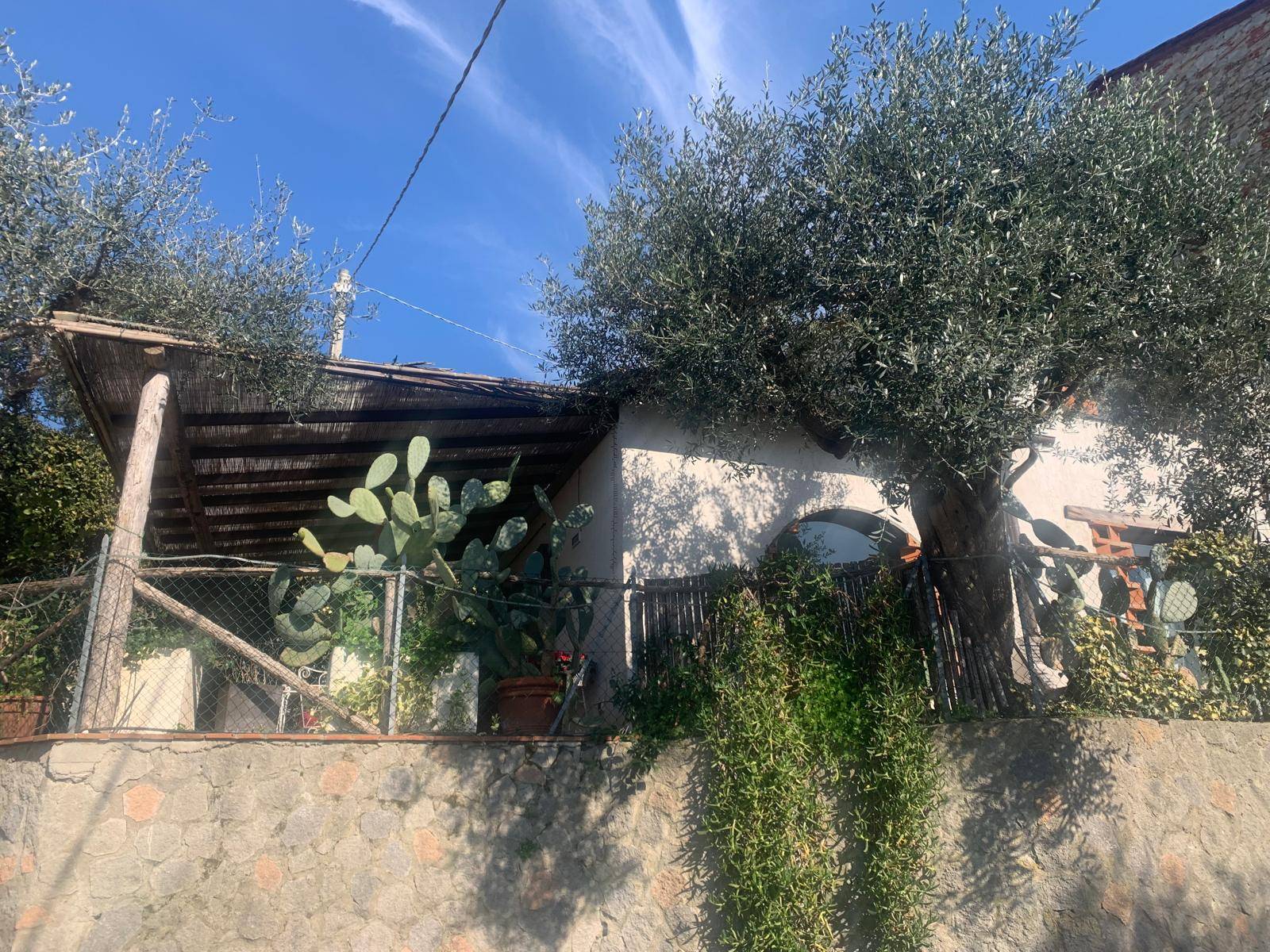 immagine annuncio 3 di 6