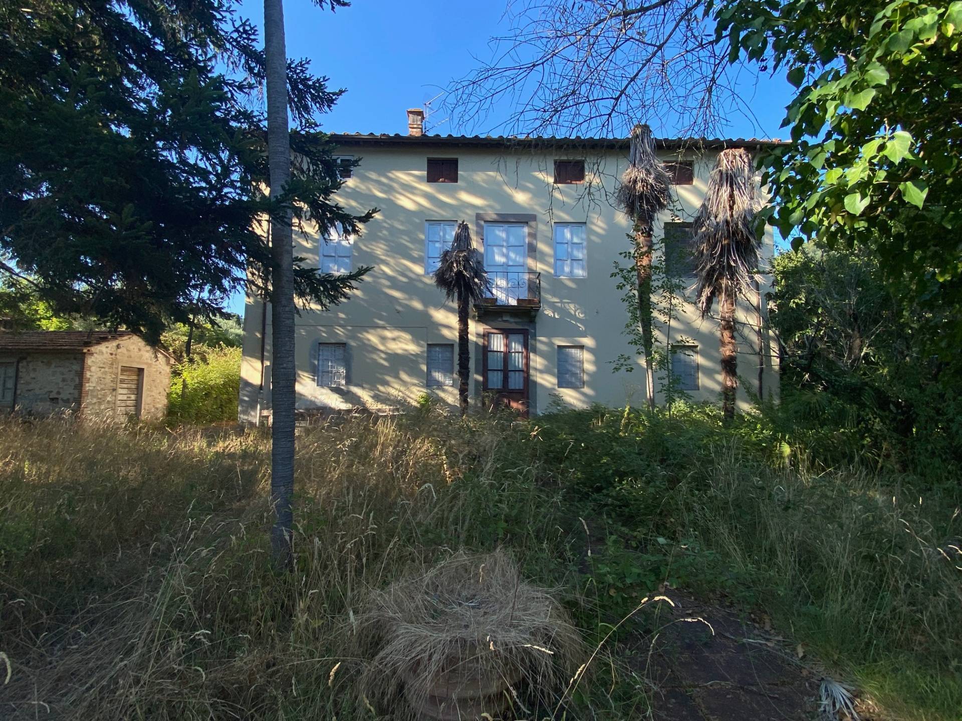 Propriet rustica con terreno in vendita a Lucca, Torre