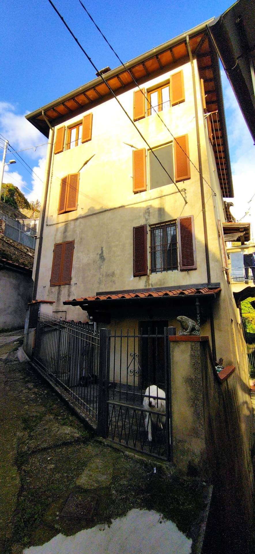 Casa indipendente in vendita a Camaiore, Prima Collina