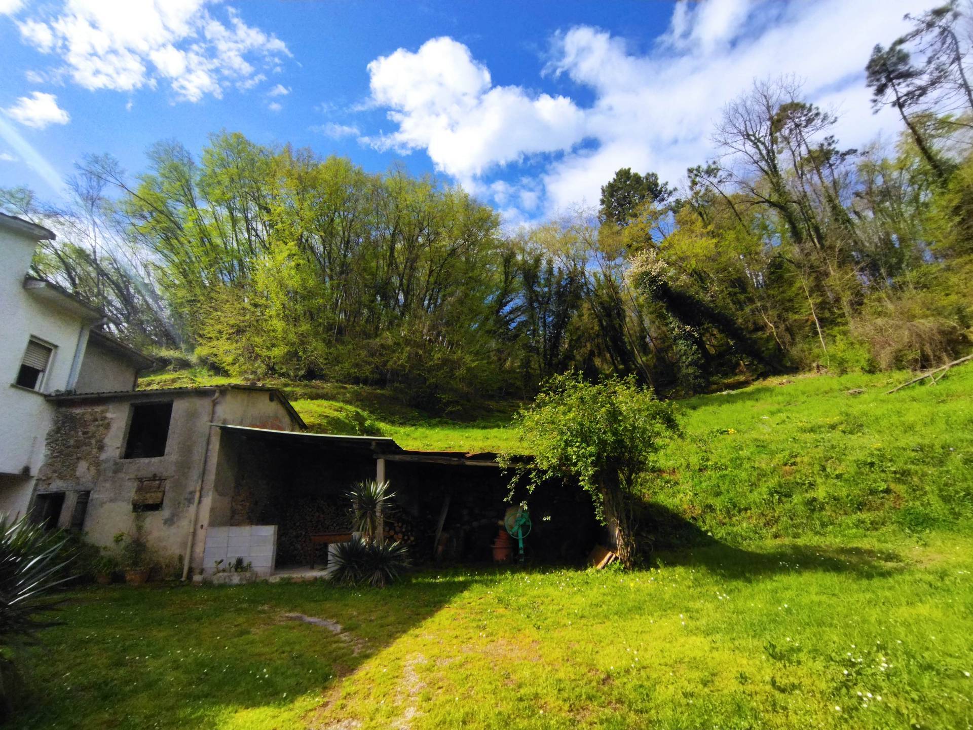 Villa Singola in vendita a Camaiore, Fondi