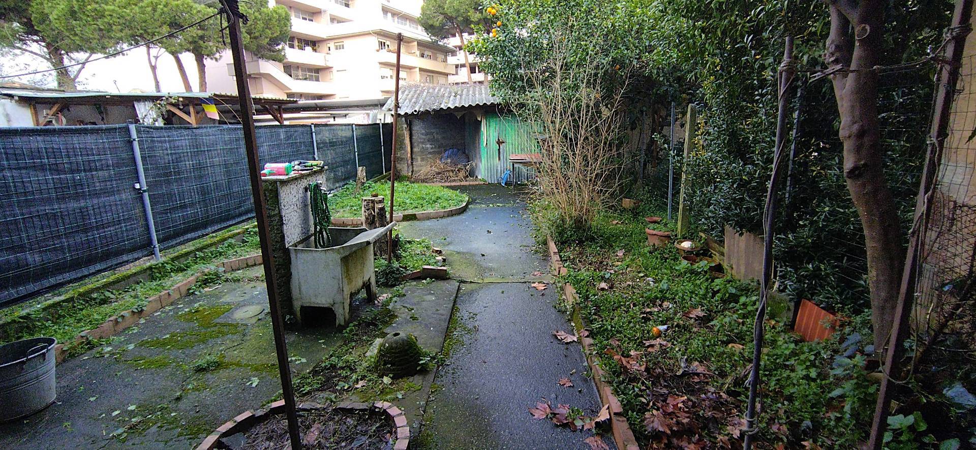 Casa Viareggina in vendita a Viareggio, Bicchio