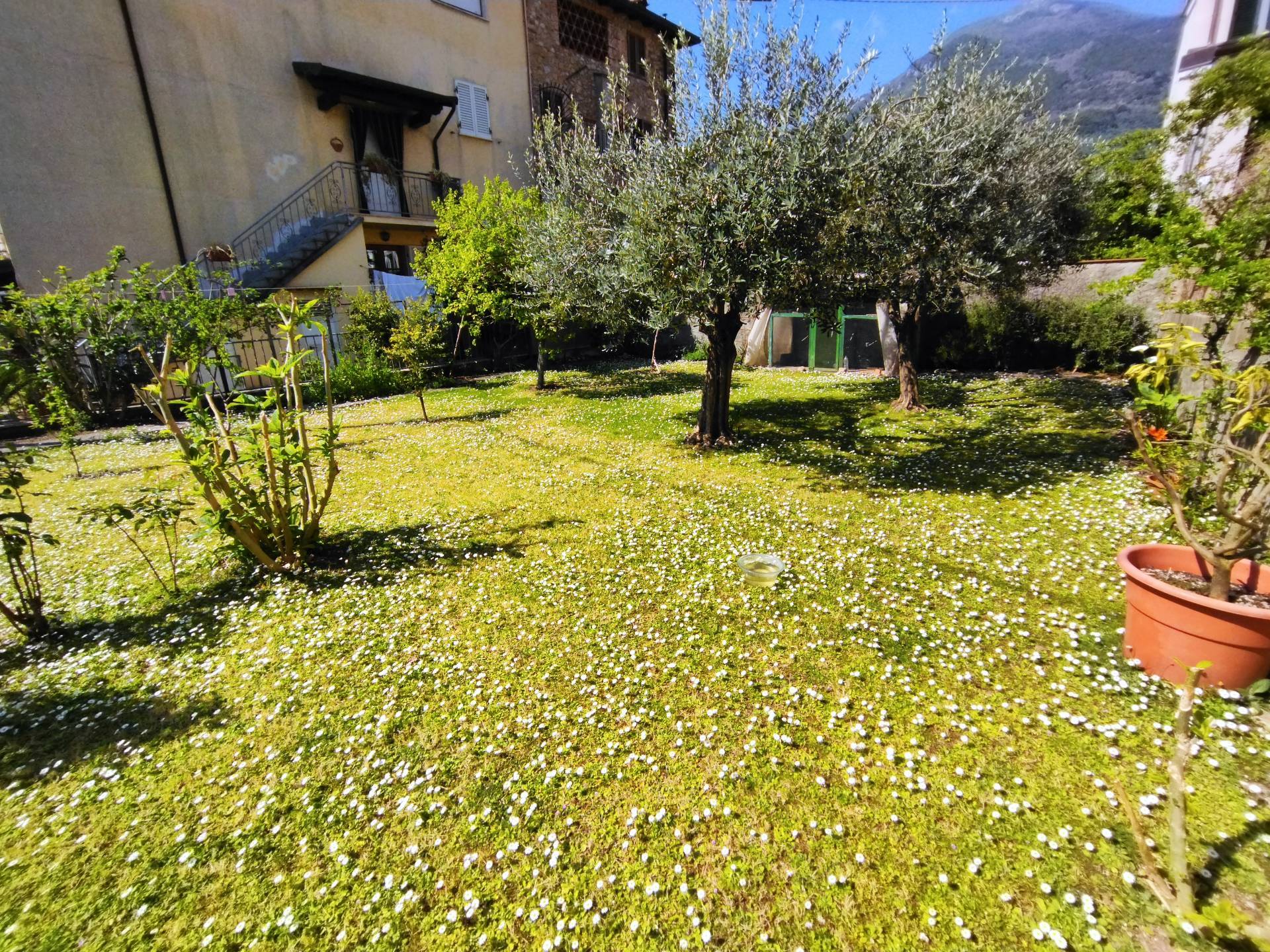 Casa indipendente in vendita a Camaiore, Frati