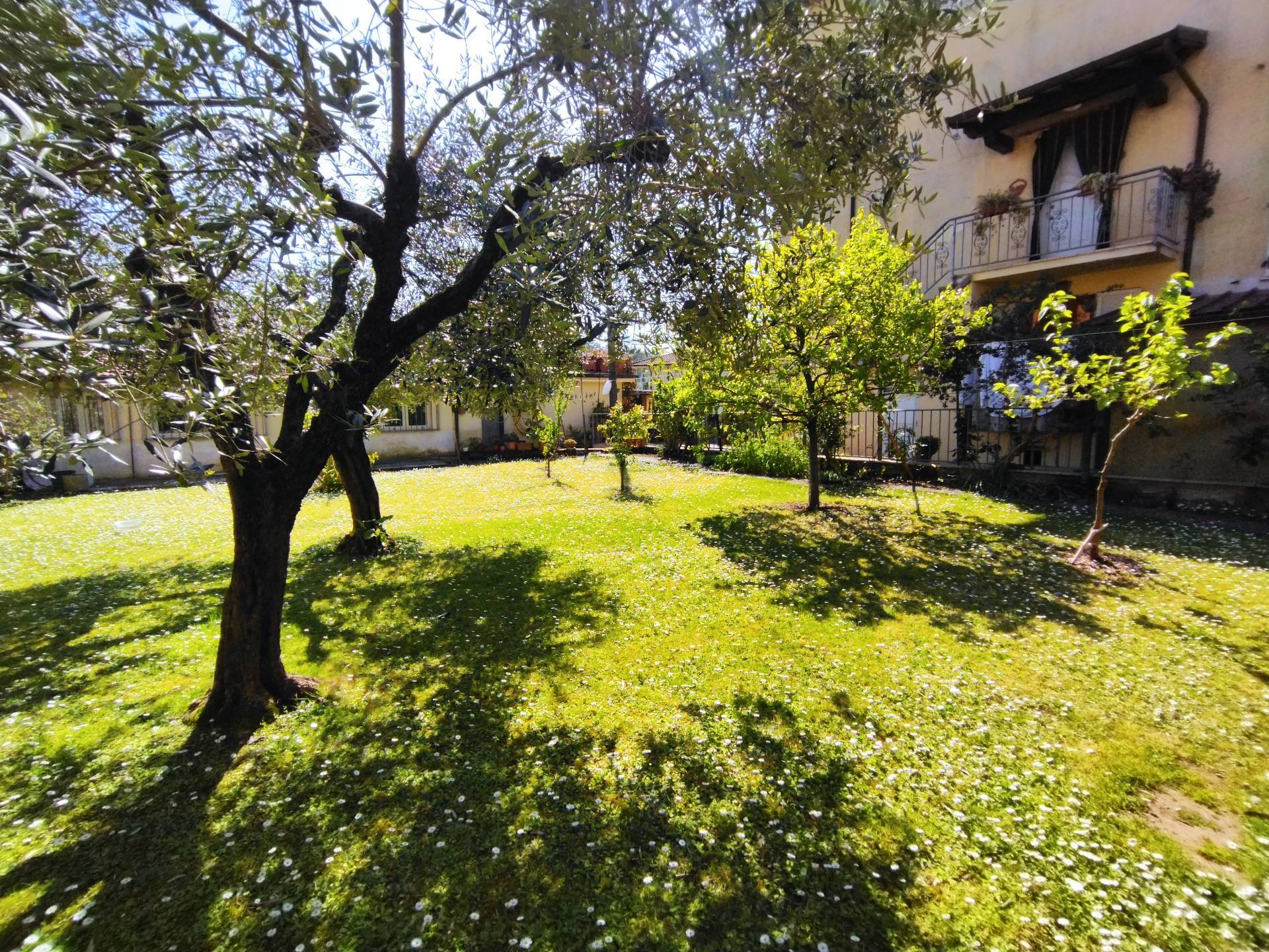 Casa indipendente in vendita a Camaiore, Frati