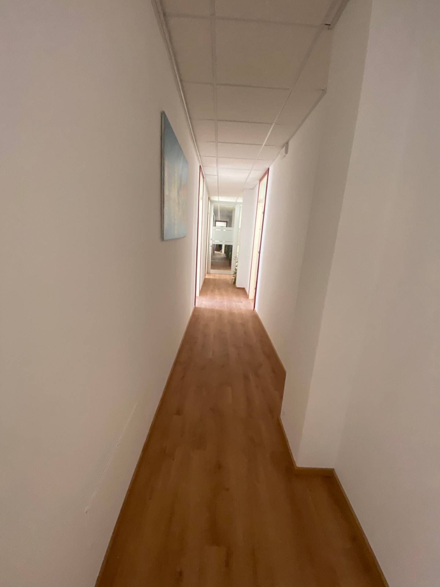 Studio/Ufficio in affitto a Viareggio, Ex Campo d'Aviazione