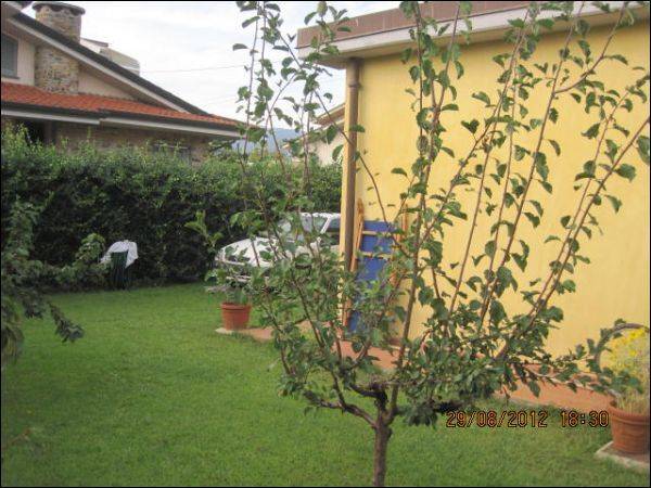 Villa bifamiliare in vendita a Massarosa, Piano di Mommio