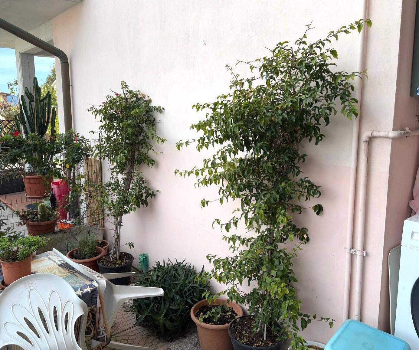 Appartamento piano terra in vendita a Viareggio, Torre del Lago Puccini