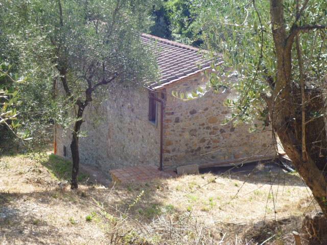 Propriet rustica con terreno in vendita a Massarosa, Corsanico