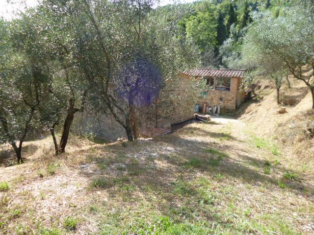 Propriet rustica con terreno in vendita a Massarosa, Corsanico