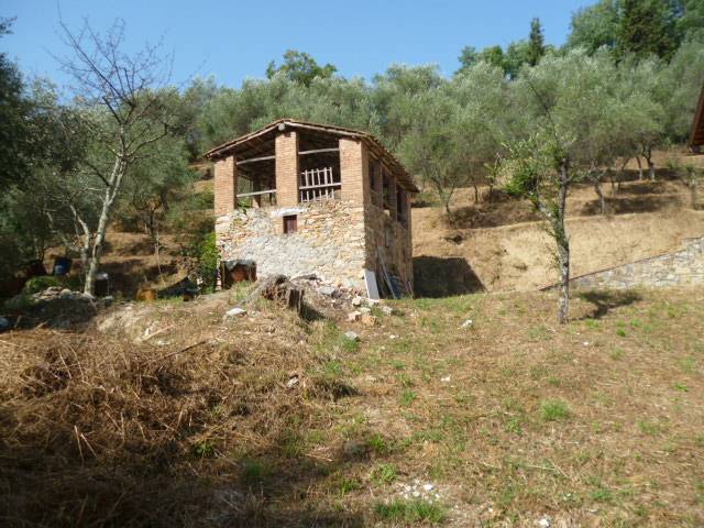 Propriet rustica con terreno in vendita a Massarosa, Corsanico