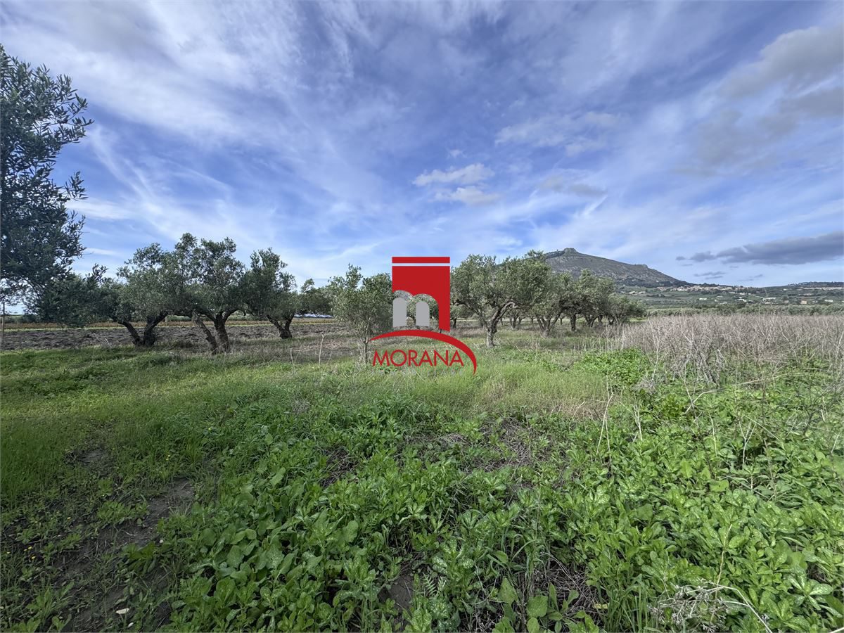 Terreno in vendita a Erice
