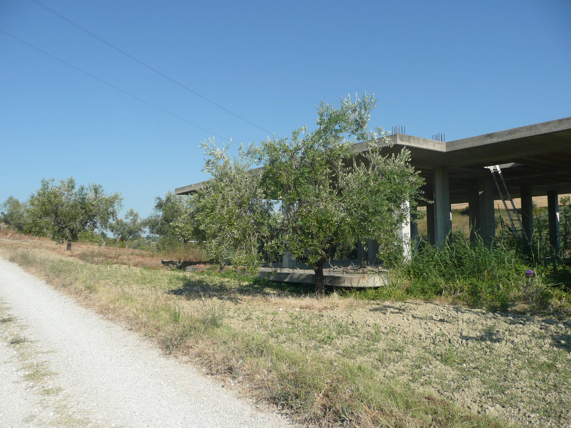 Casa singola in vendita a Notaresco