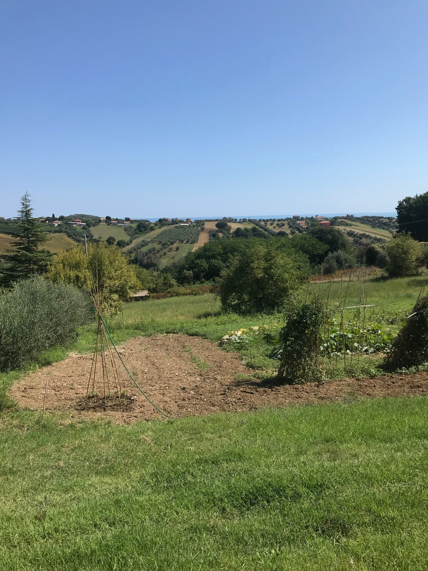 Terreno edificabile in vendita a Mosciano Sant'Angelo