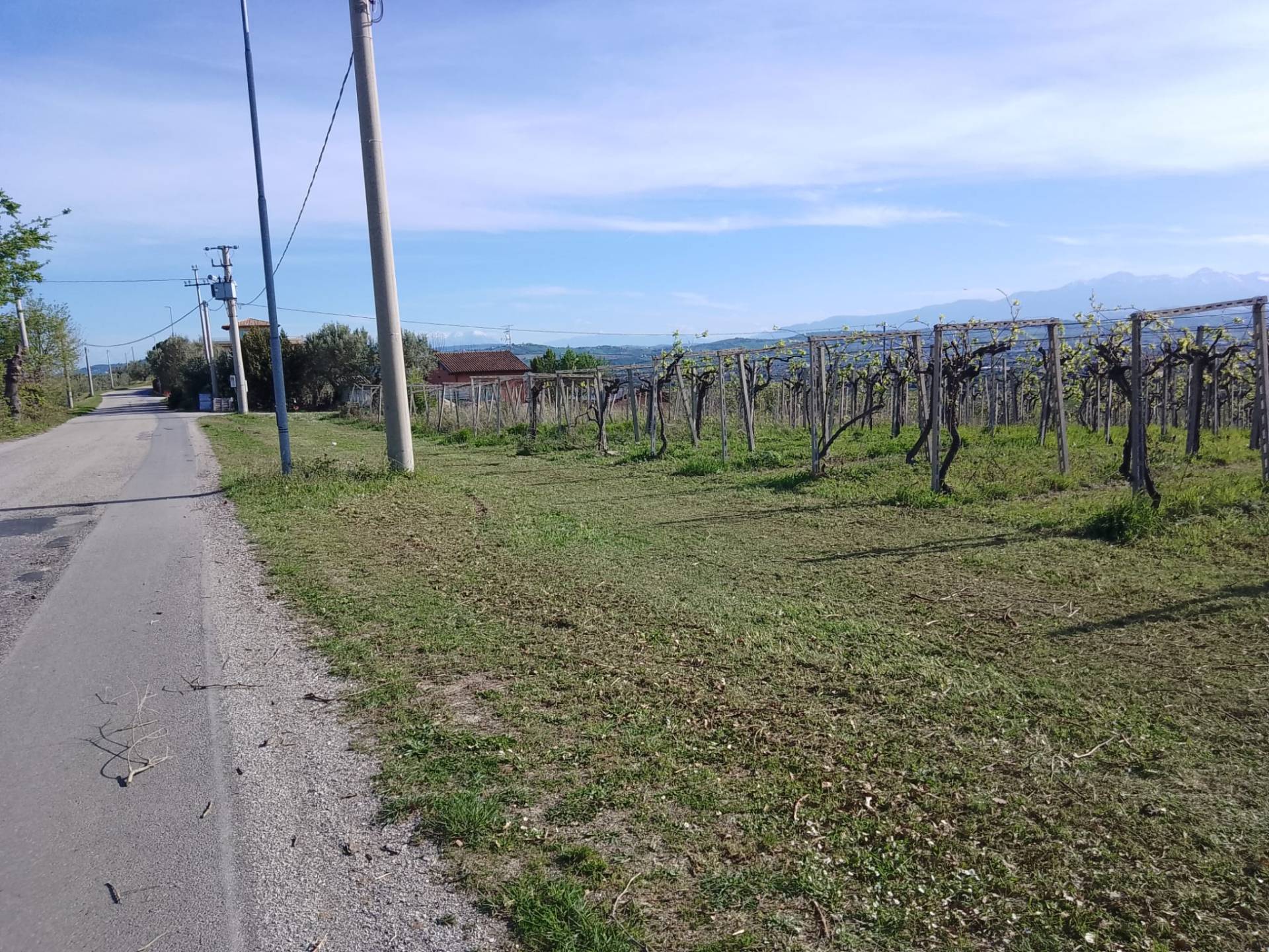 Terreno Agricolo in vendita a Giulianova, Case di Trento