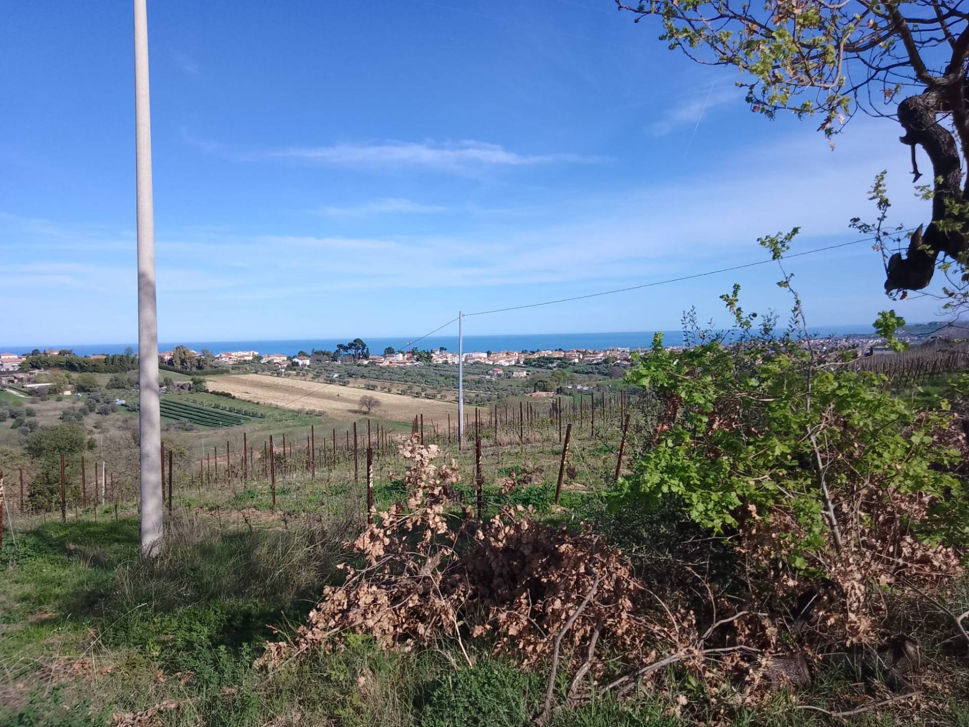 Terreno Agricolo in vendita a Giulianova, Case di Trento