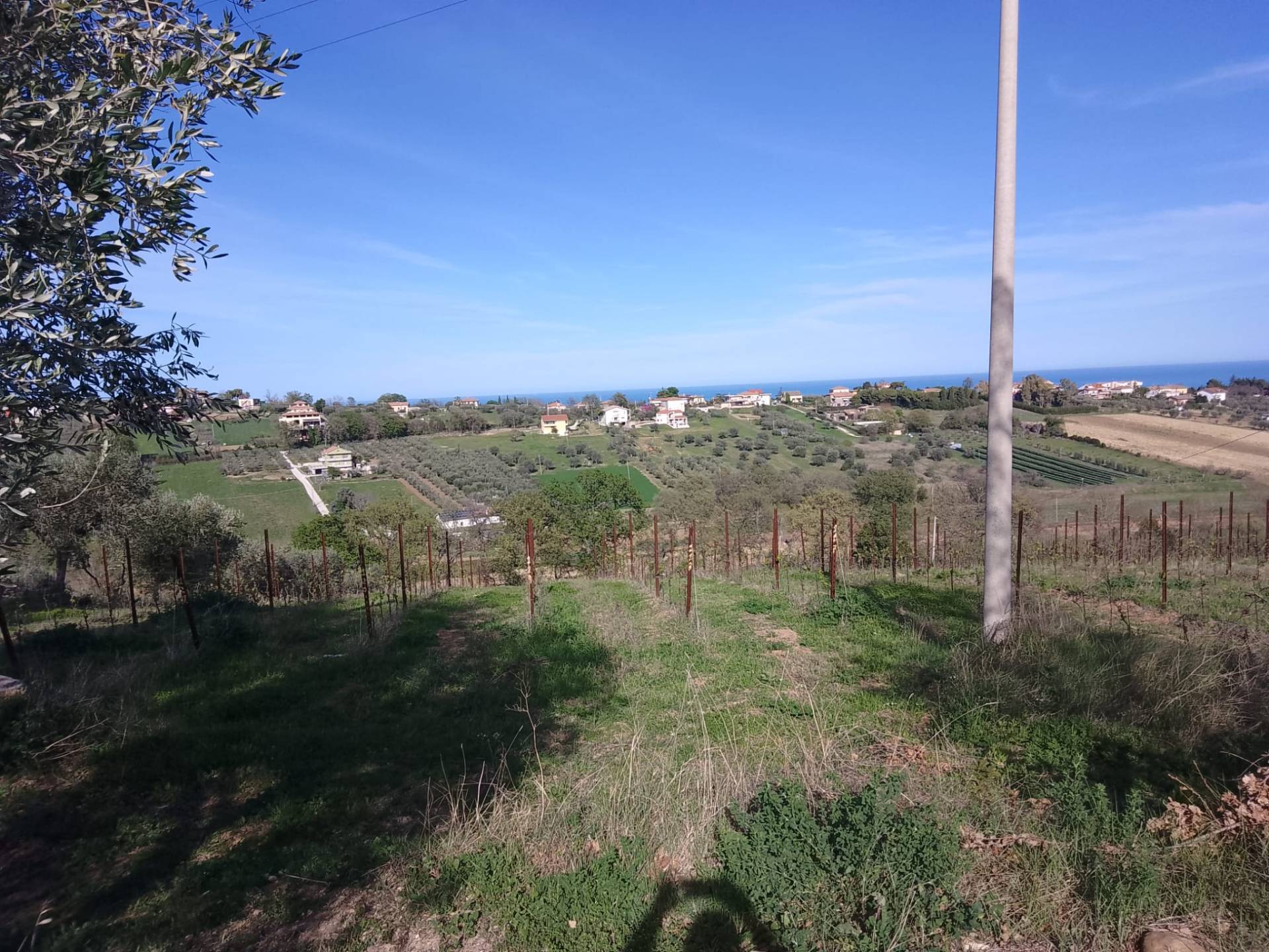 Terreno Agricolo in vendita a Giulianova, Case di Trento