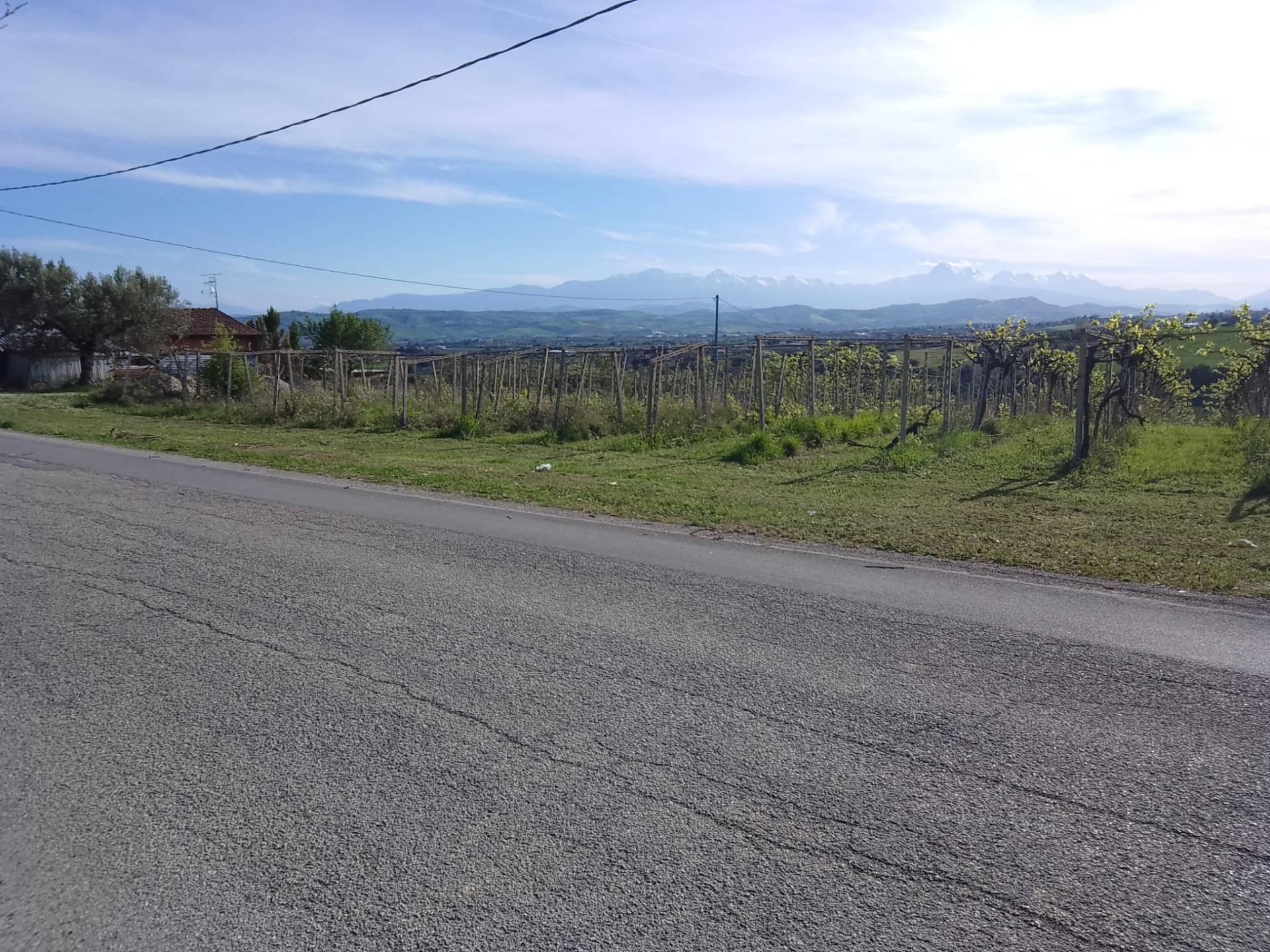 Terreno Agricolo in vendita a Giulianova, Case di Trento