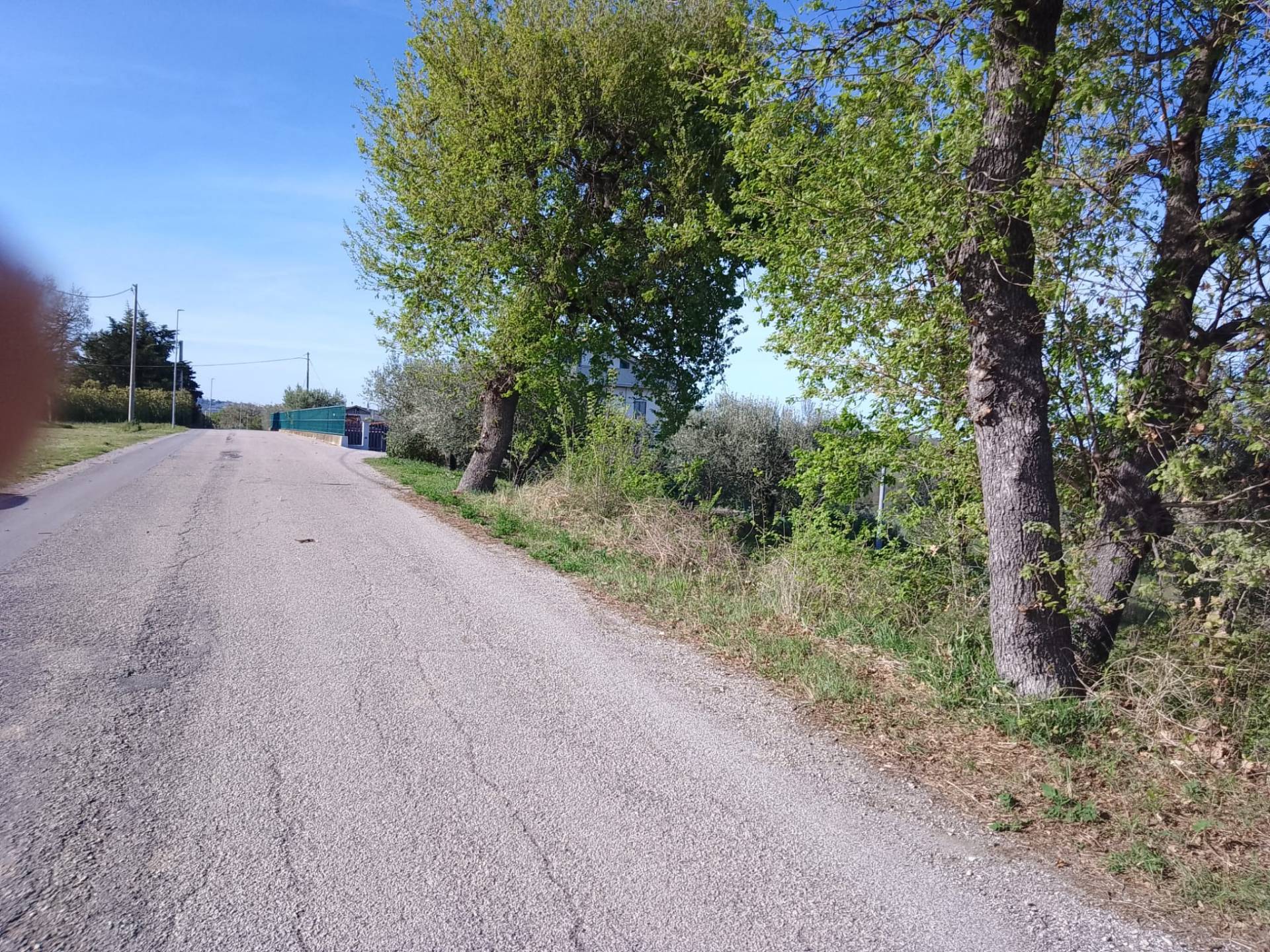 Terreno Agricolo in vendita a Giulianova, Case di Trento