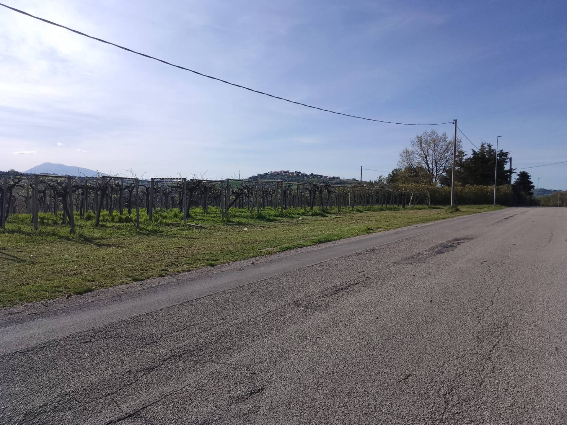 Terreno Agricolo in vendita a Giulianova, Case di Trento