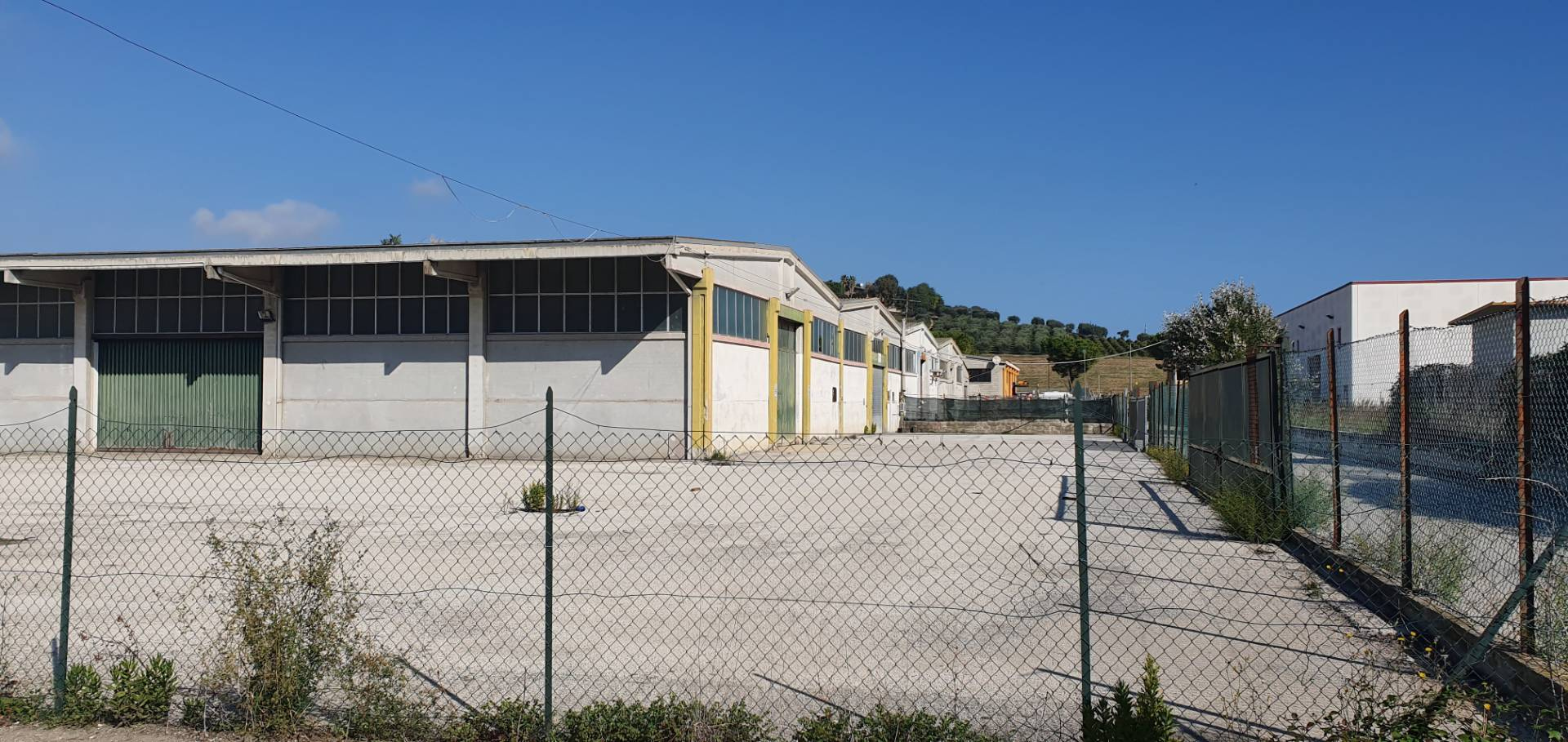 Capannone in affitto a Tortoreto