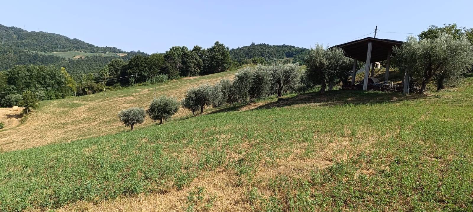 Rustico in vendita a Basciano, Feudo da Borea