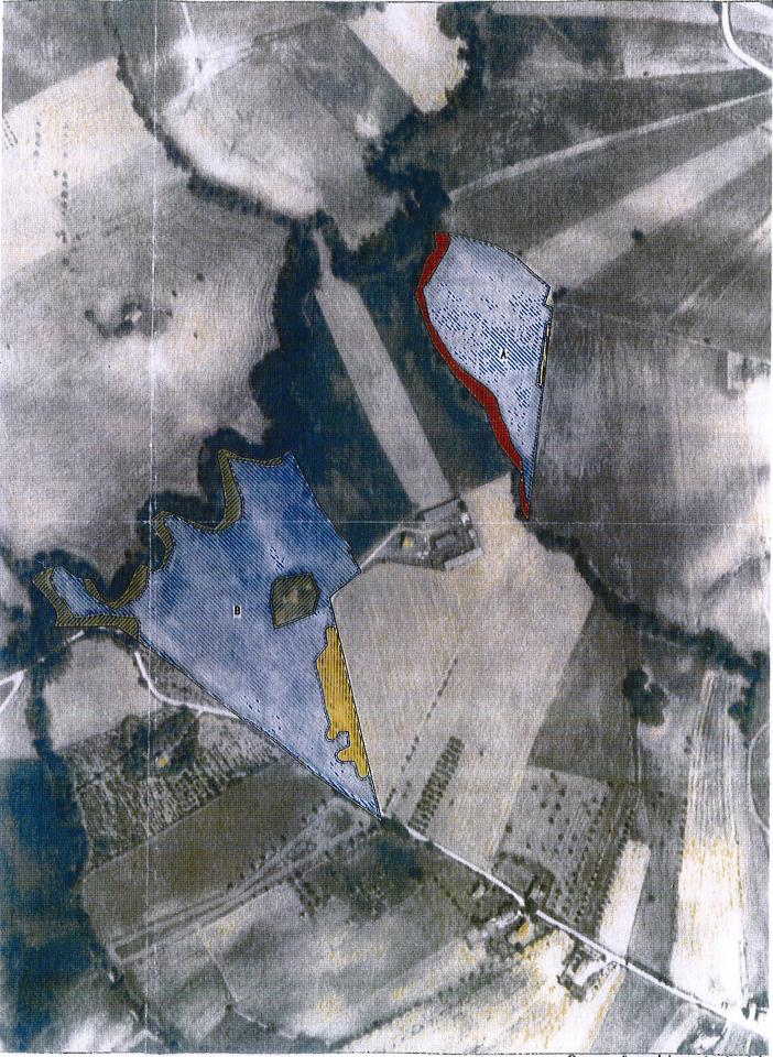 Terreno Agricolo in vendita a Bellante