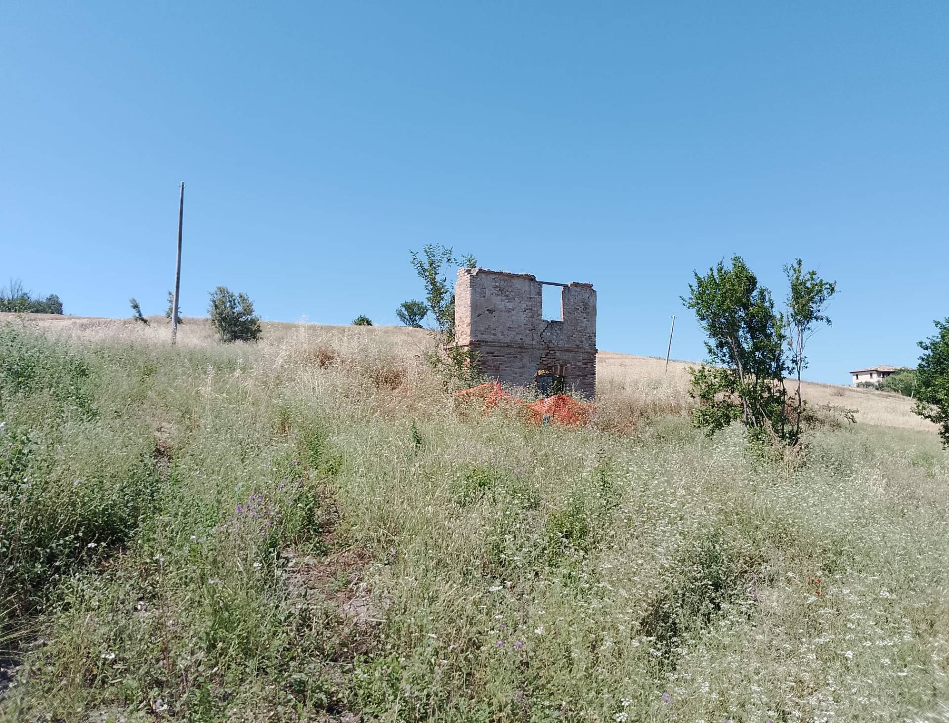 Terreno Agricolo in vendita a Sant'Omero, Poggio Morello