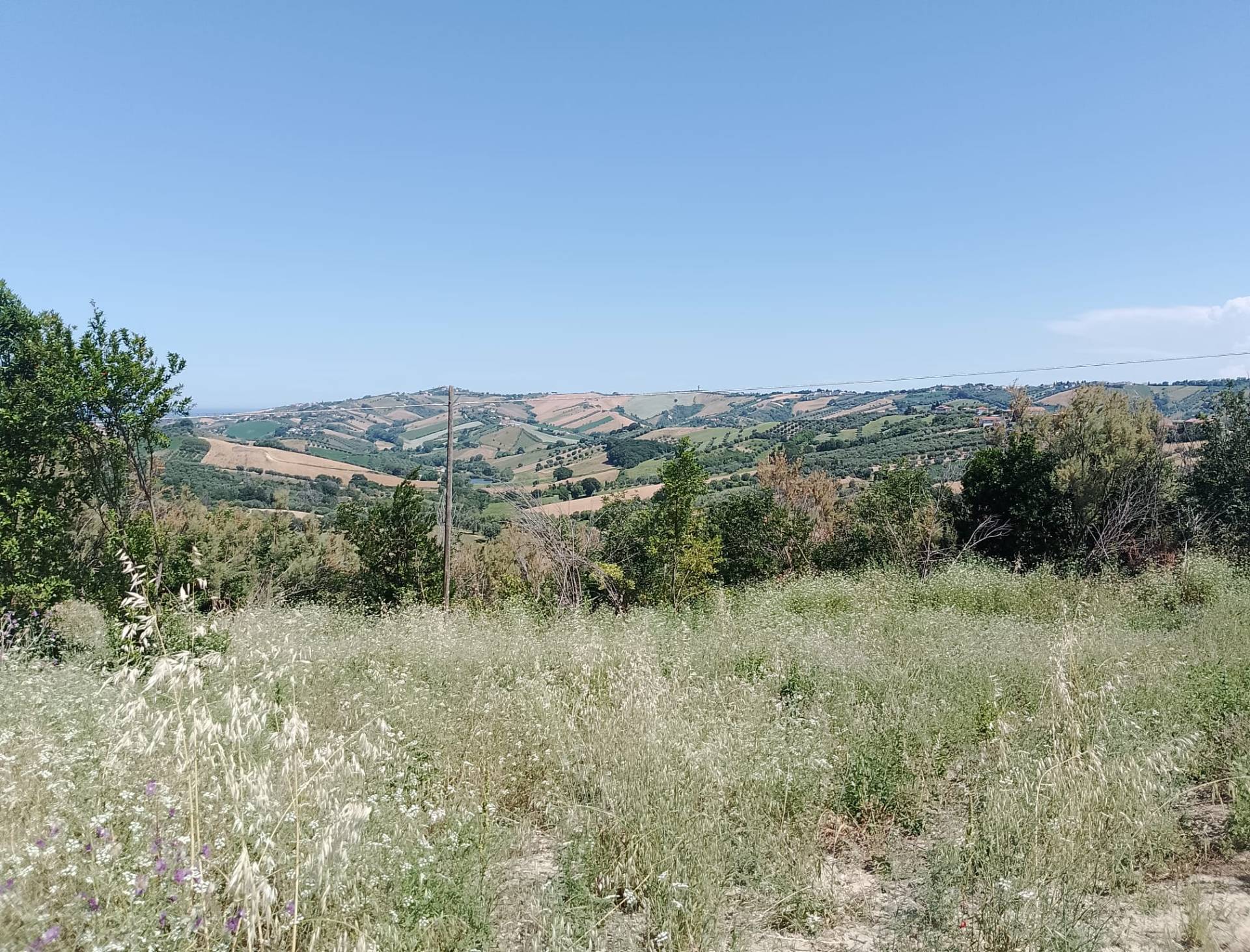 Terreno Agricolo in vendita a Sant'Omero, Poggio Morello