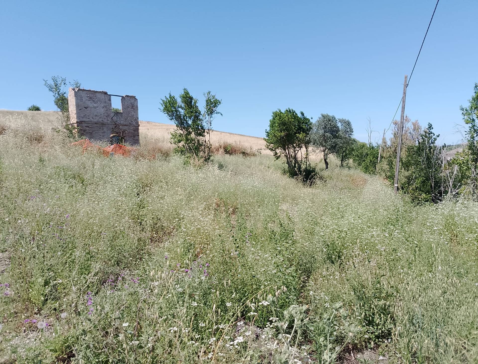 Terreno Agricolo in vendita a Sant'Omero, Poggio Morello
