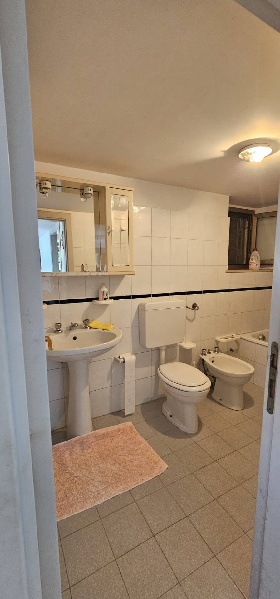 Appartamento con ingresso indipendente in vendita a Pineto