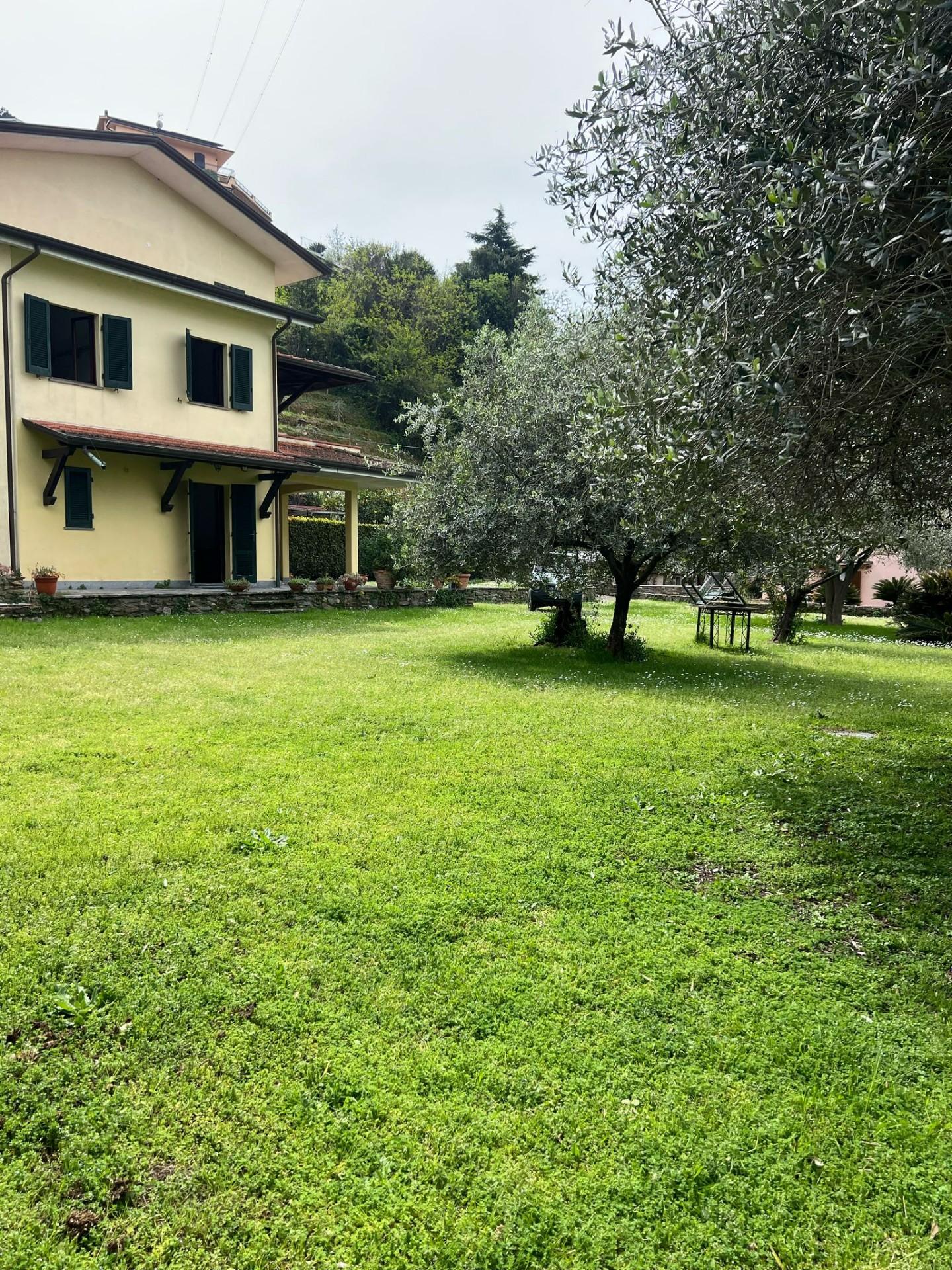 immagine annuncio 2 di 6
