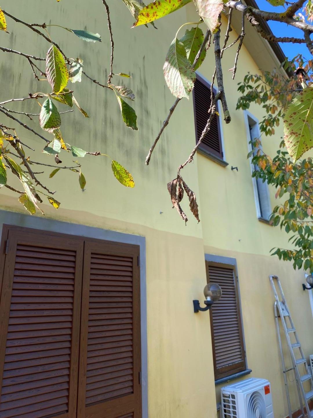 Casa indipendente con giardino, Massa mirteto