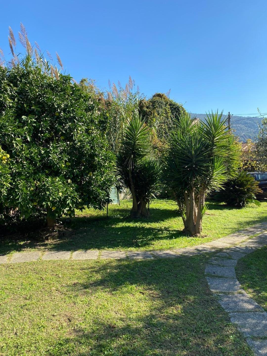 Casa indipendente con giardino, Massa mirteto