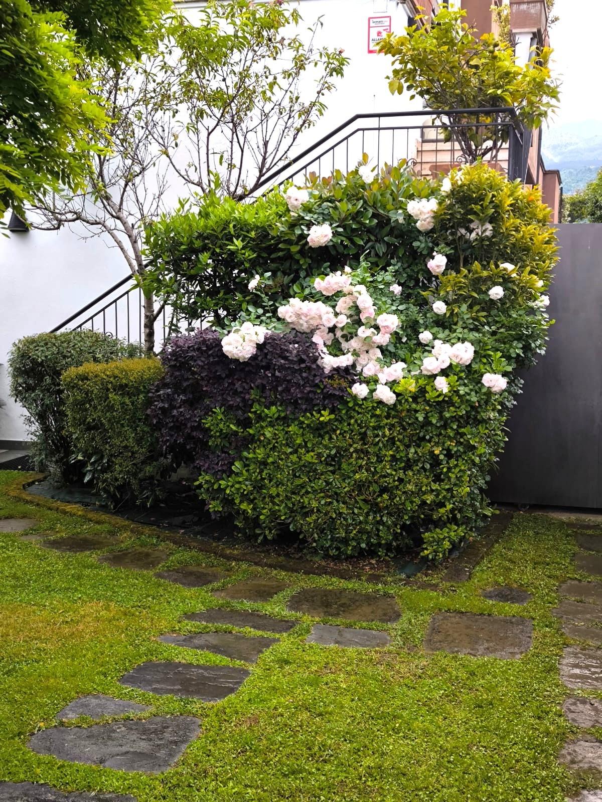 Casa indipendente con giardino, Montignoso cinquale