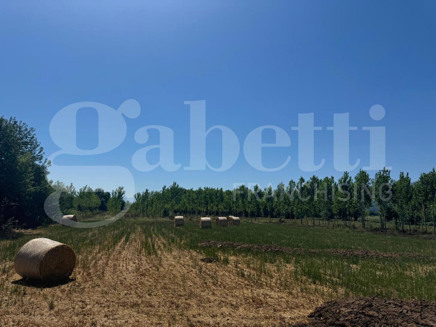 Terreno Agricolo in vendita a Baia e Latina