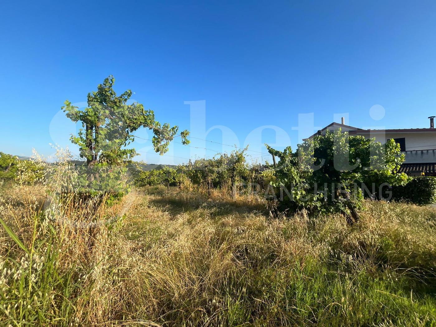 Terreno Agricolo in vendita a Alife