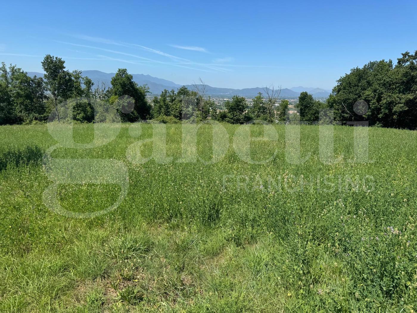 Terreno Agricolo in vendita a San Potito Sannitico