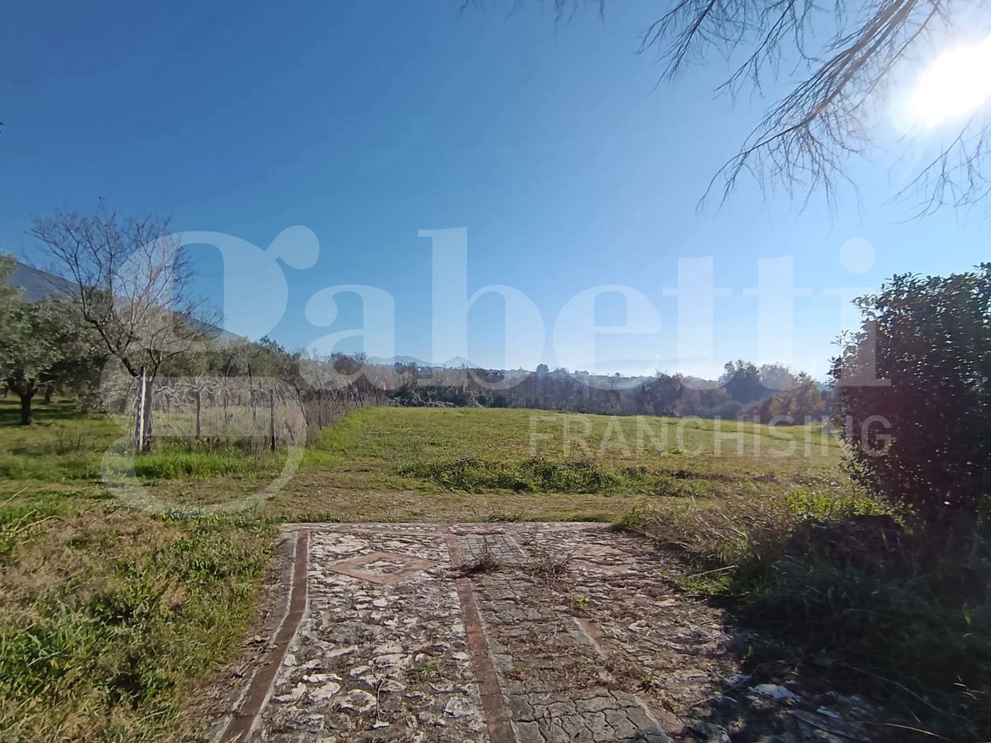 Terreno Agricolo in vendita a Sant'Angelo d'Alife