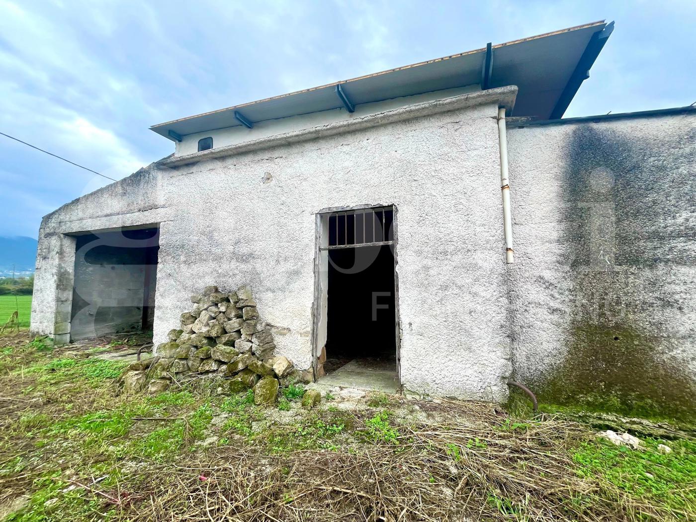 Terreno Agricolo in vendita a Alife