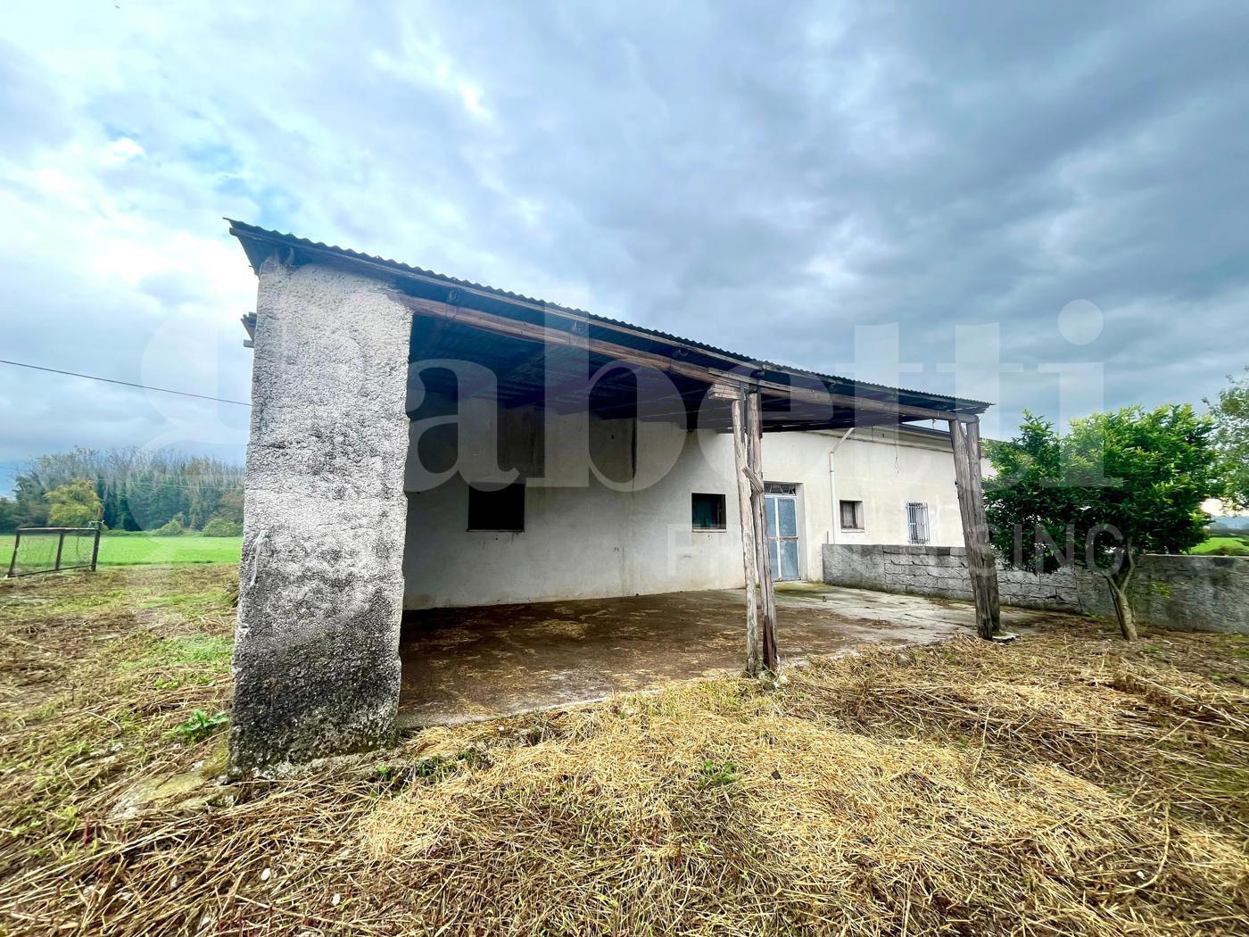 Terreno Agricolo in vendita a Alife