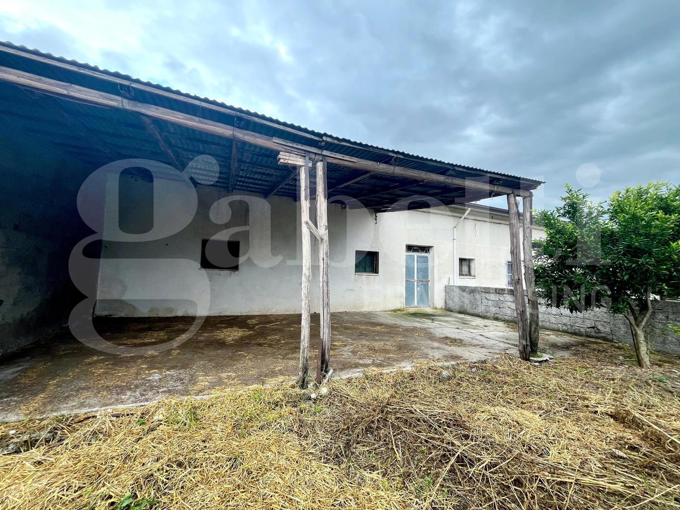 Terreno Agricolo in vendita a Alife