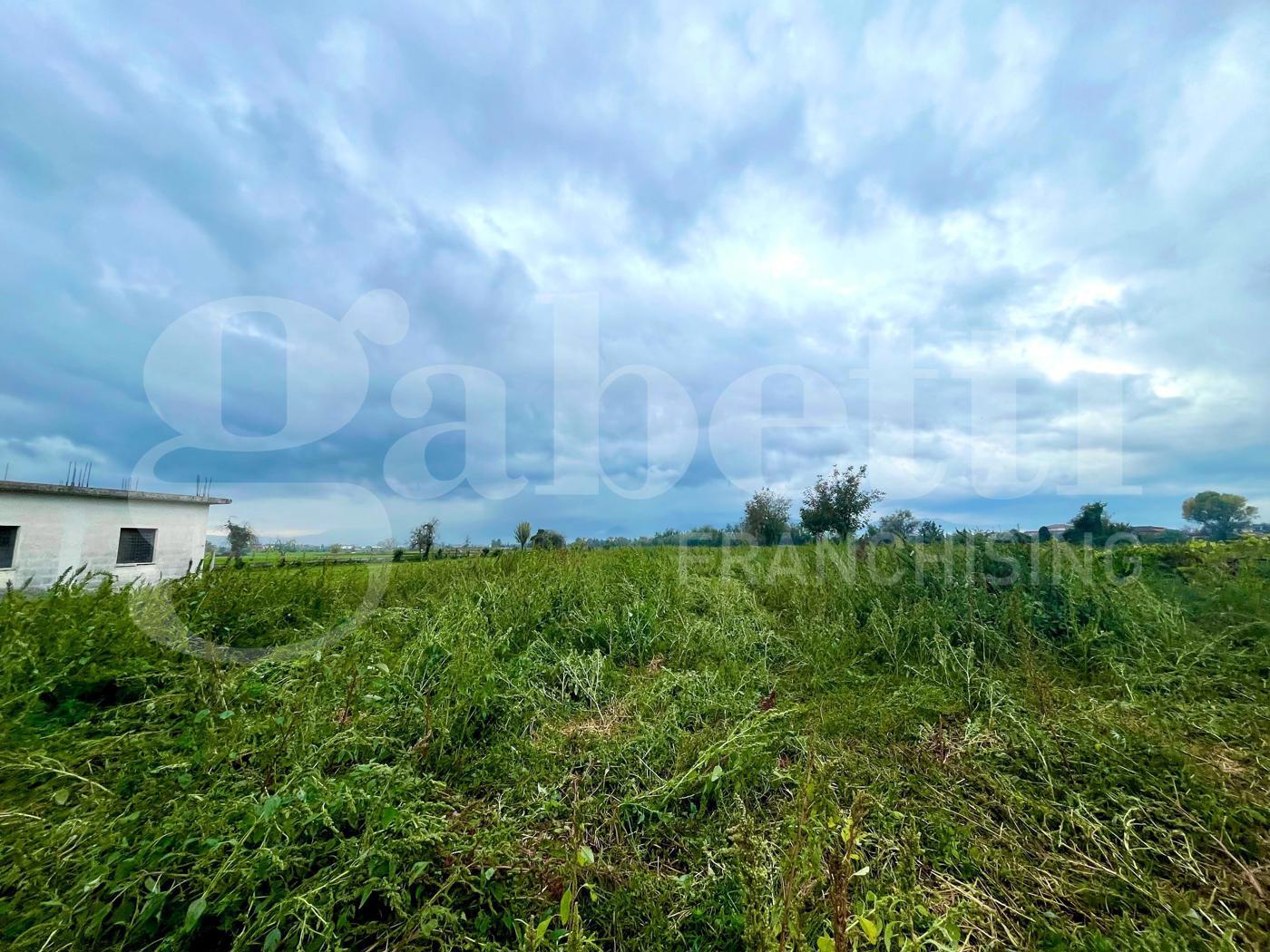 Terreno Agricolo in vendita a Alife