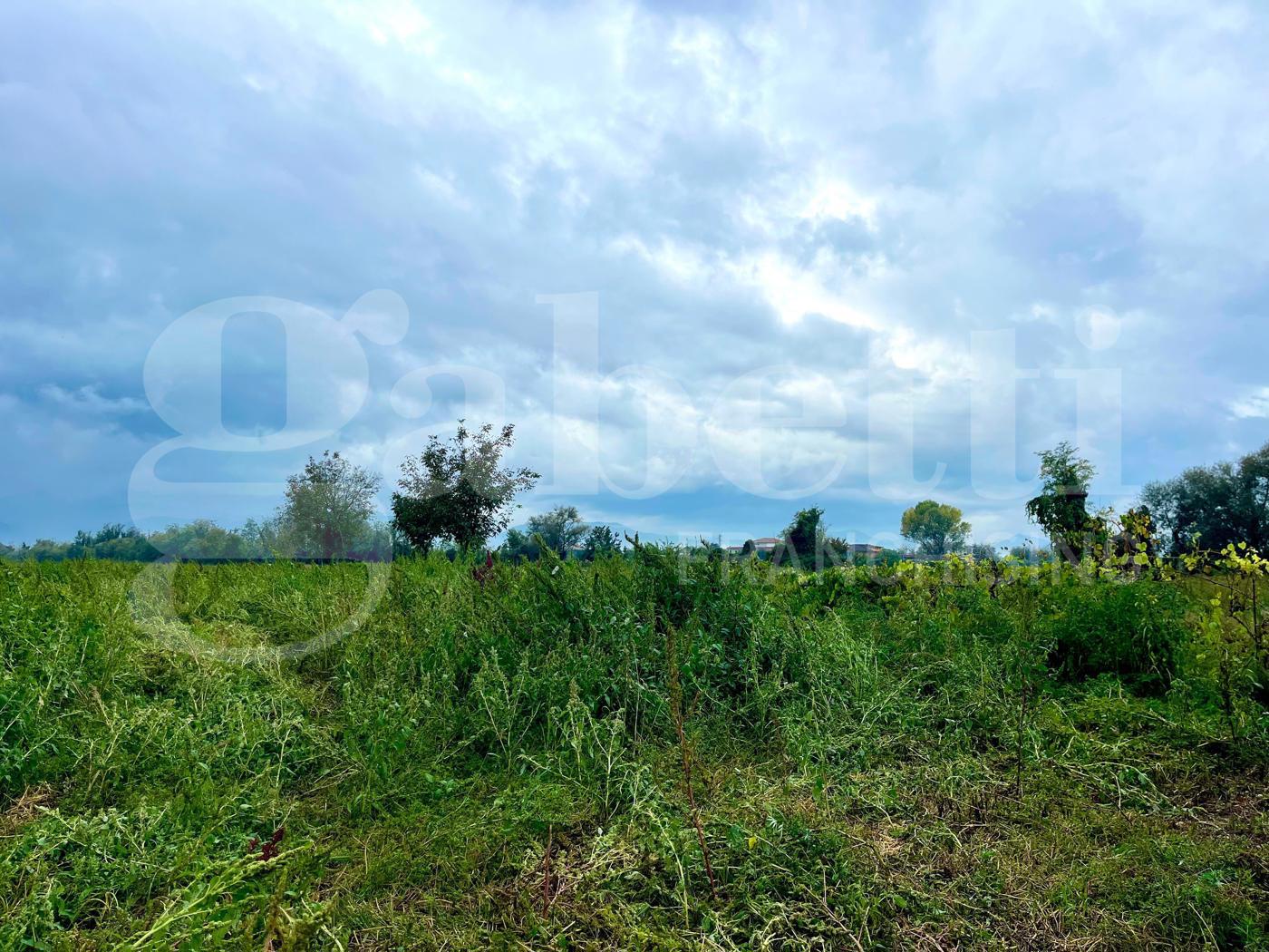 Terreno Agricolo in vendita a Alife