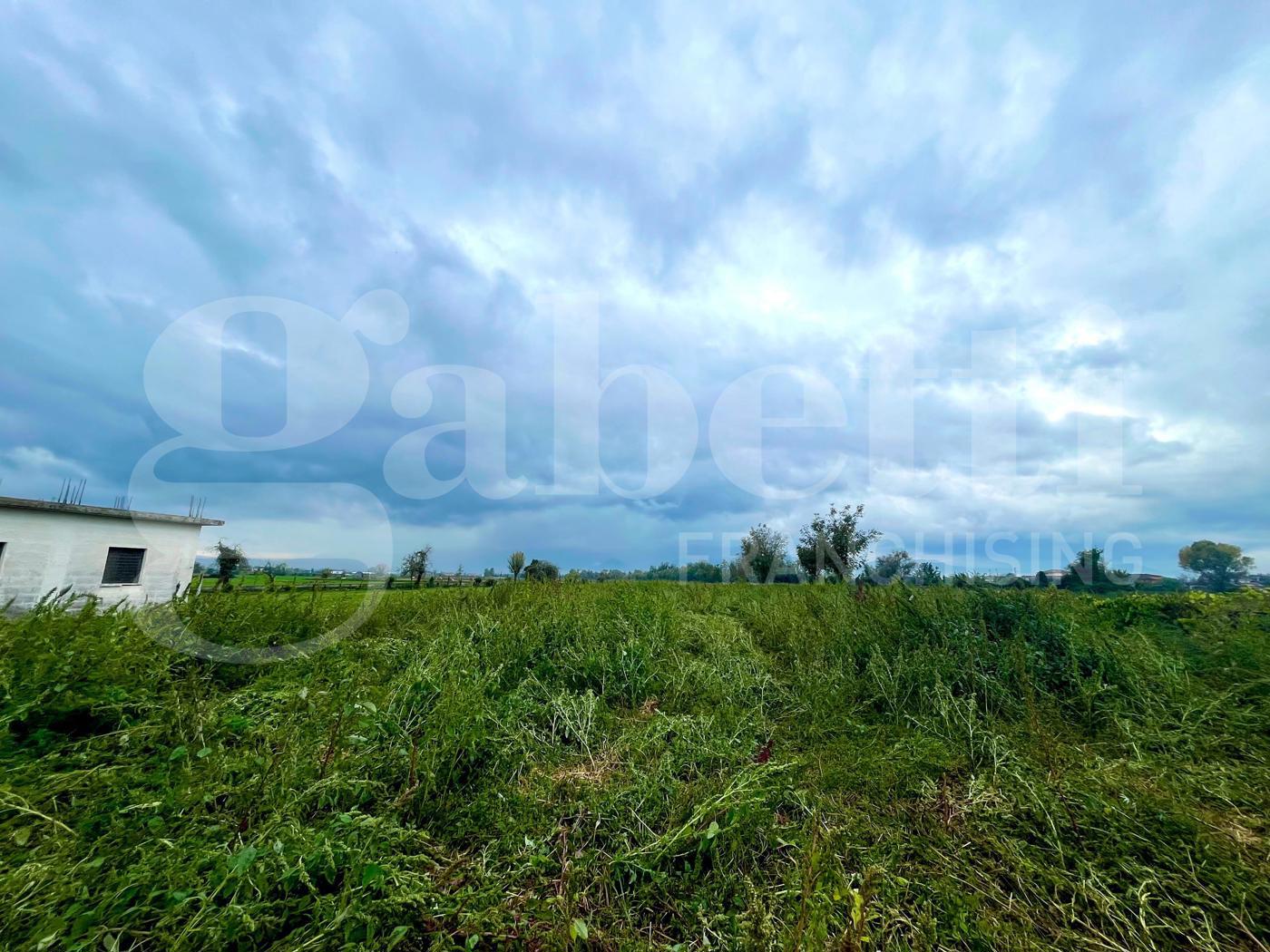 Terreno Agricolo in vendita a Alife