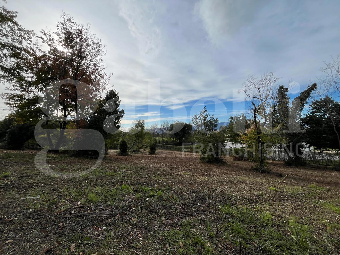 Terreno Agricolo in vendita a Piedimonte Matese