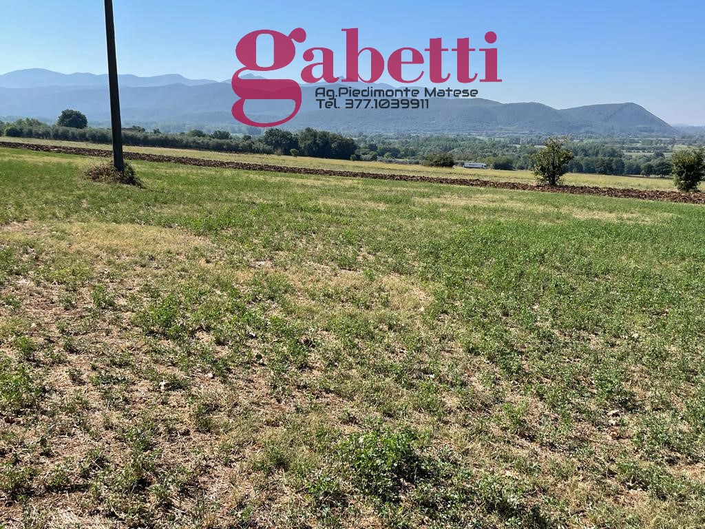 Terreno Agricolo in vendita a Raviscanina